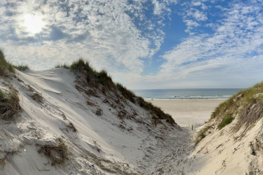 Konflikthåndtering & kommunikation