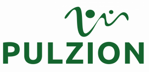 Pulzion logo.png